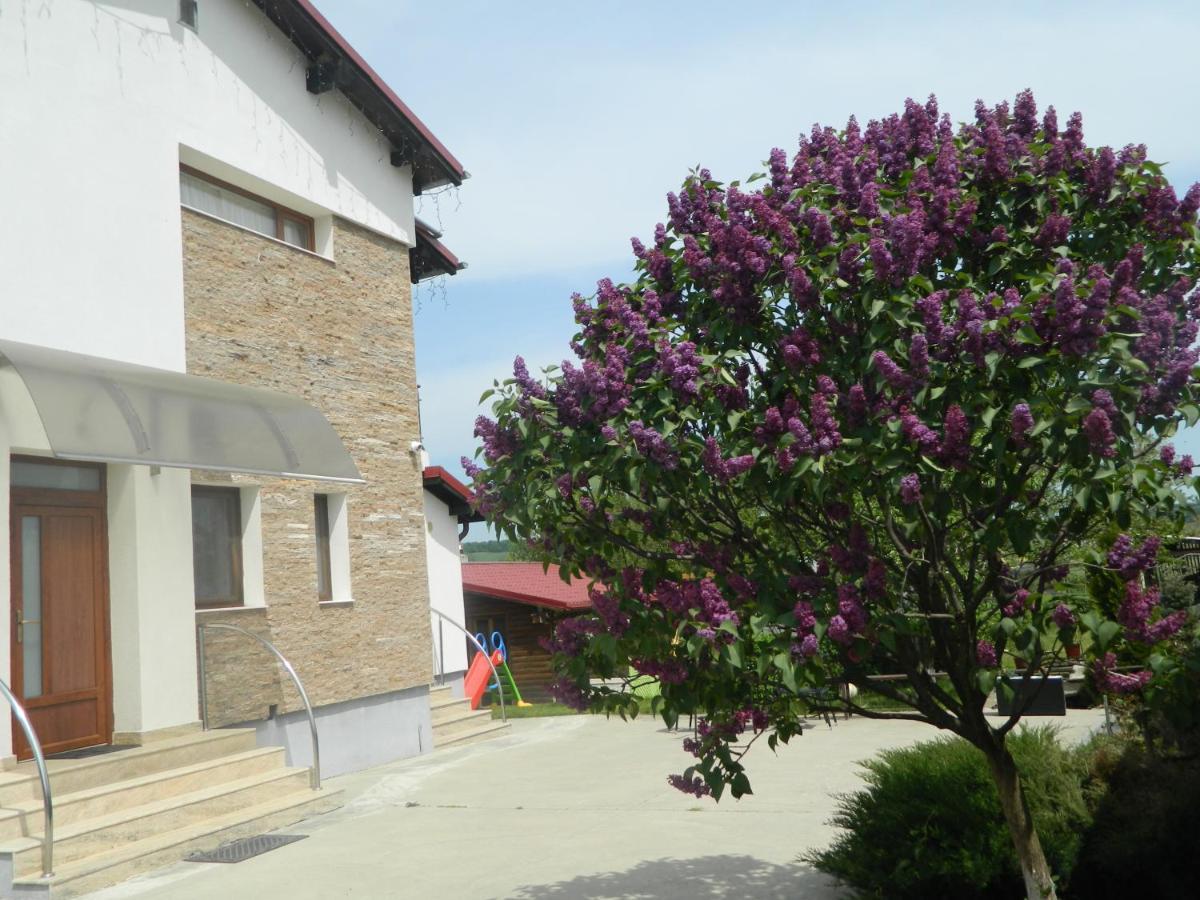 Mirana-Marginimea Sibiului Hotel Cristian  Luaran gambar